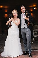 Bride and Groom with the dogs carriage barn