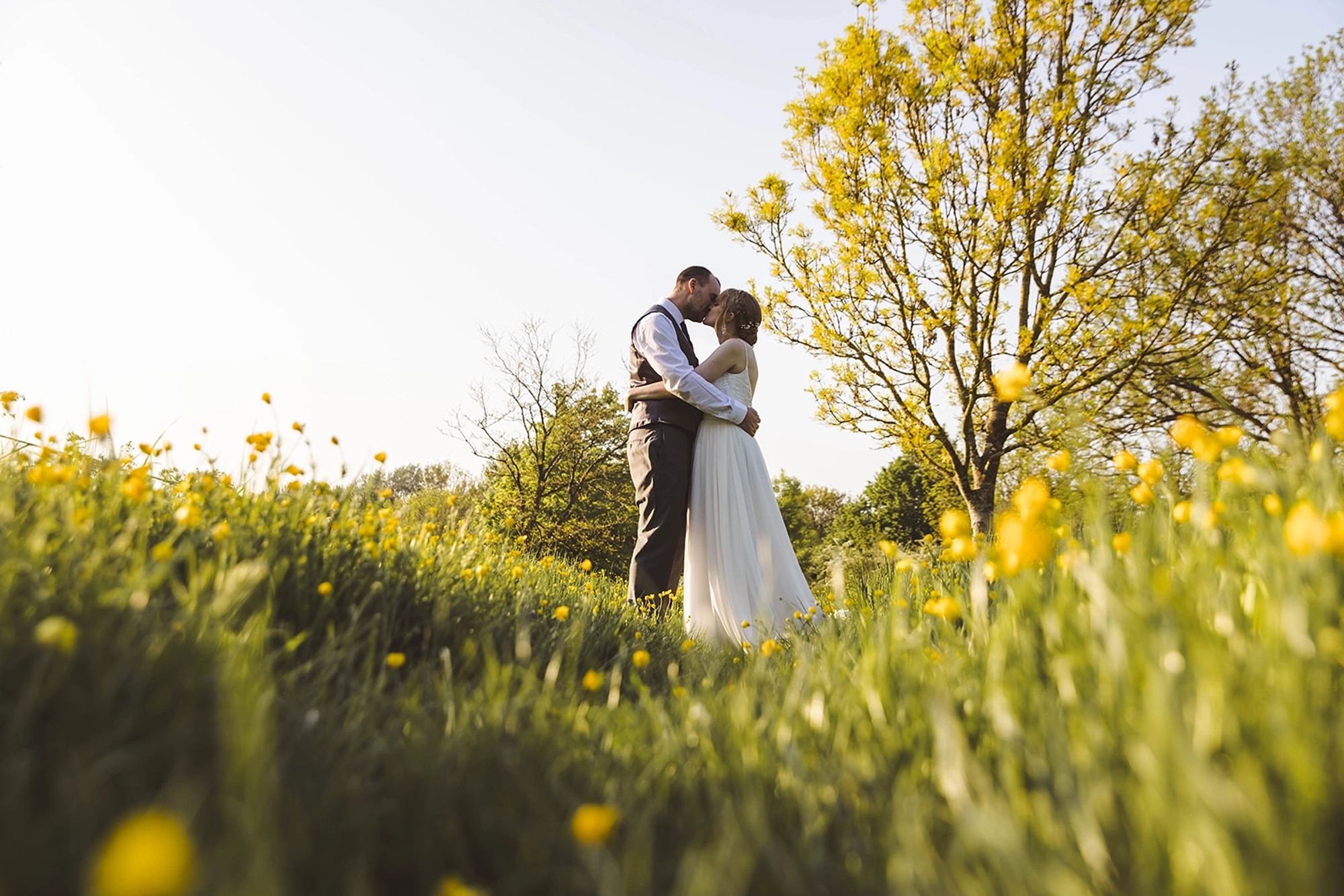 Bride and groom kissing in the buttercups